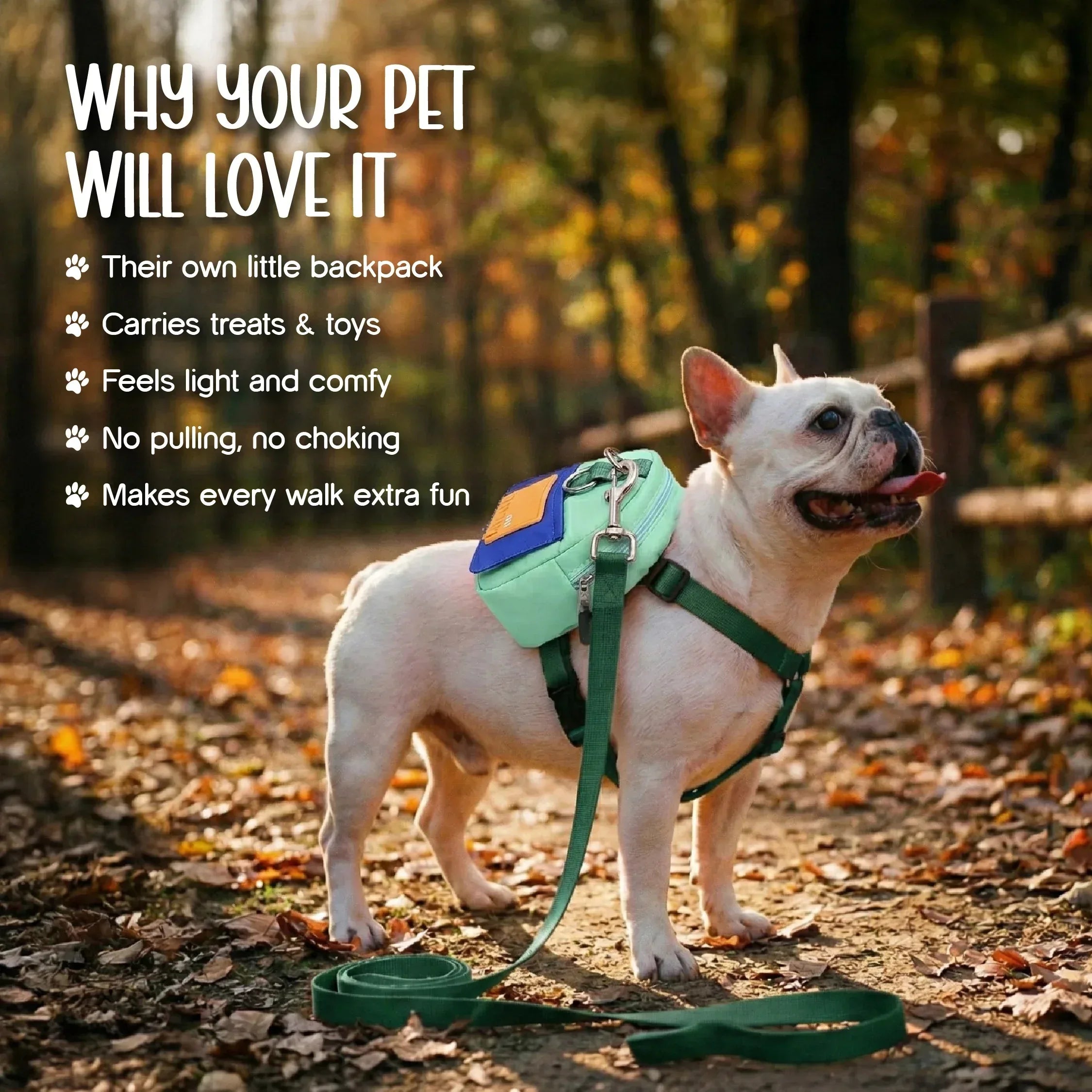 PetCore Satchel | With Matching Leash | Their Own Backpack | Easy Walk Control - Tilting Heads