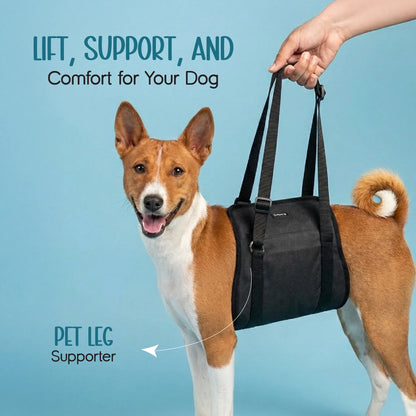 Pet Leg Supporter | Gentle Lift & Mobility Support for Dogs