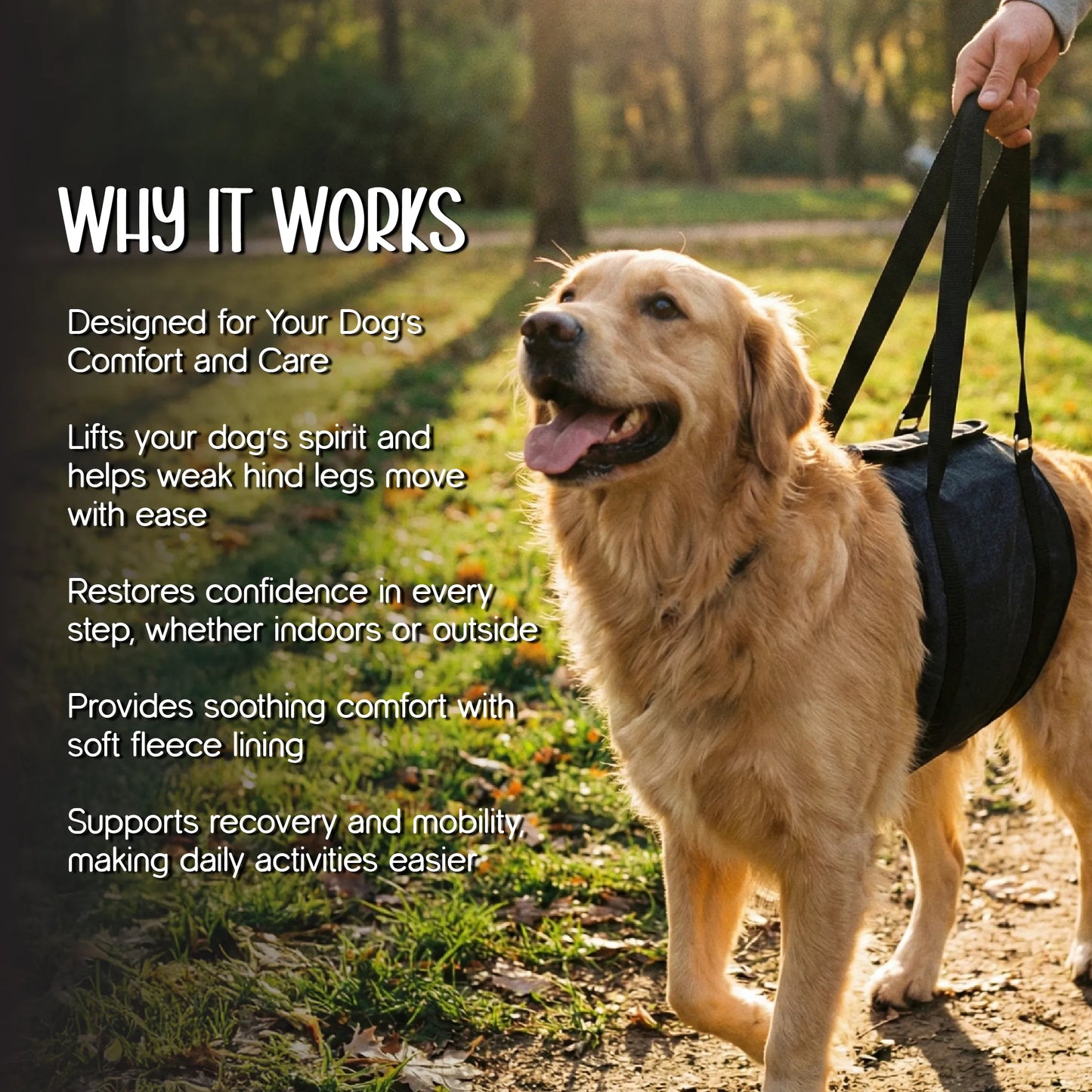 Pet Leg Supporter | Gentle Lift & Mobility Support for Dogs