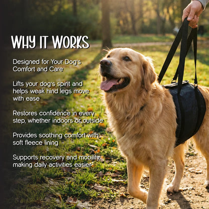 Pet Leg Supporter | Gentle Lift & Mobility Support for Dogs