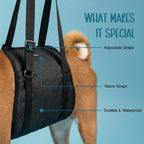 Pet Leg Supporter | Gentle Lift & Mobility Support for Dogs