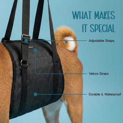 Pet Leg Supporter | Gentle Lift & Mobility Support for Dogs