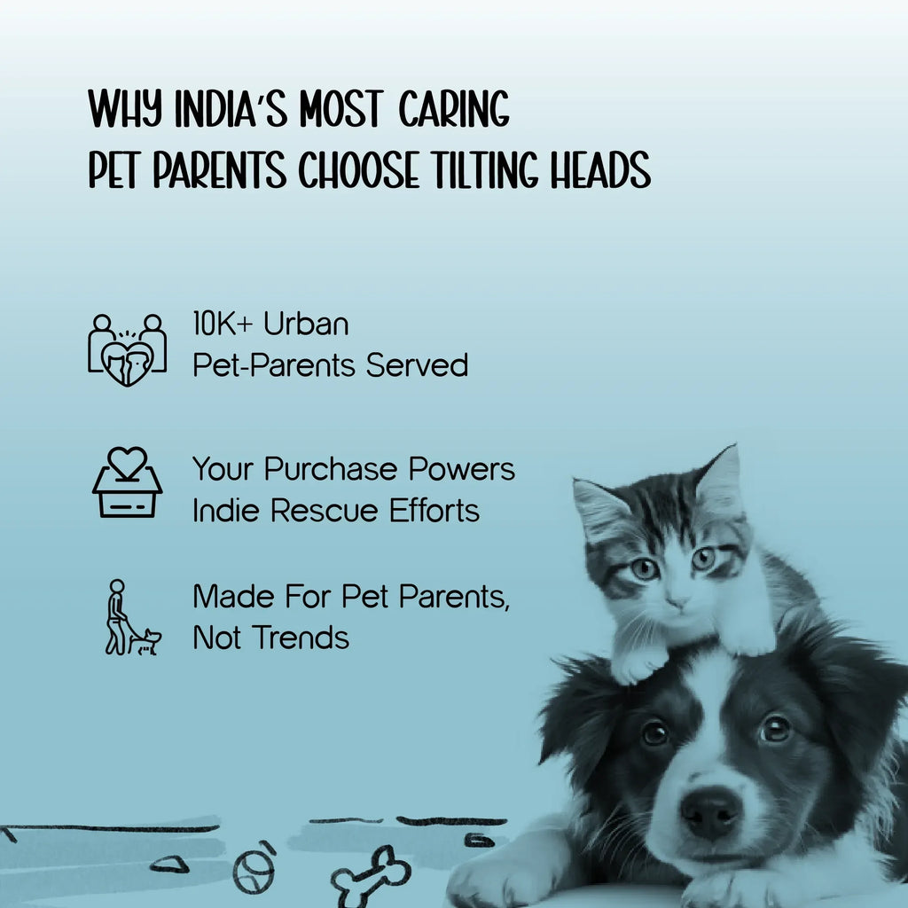 Pet Leg Supporter | Gentle Lift & Mobility Support for Dogs