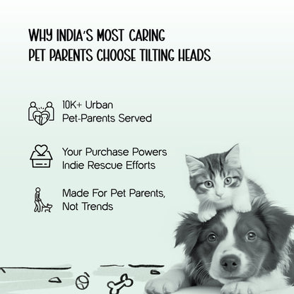 WildTrail Boots | Winter-Ready, Waterproof & Non-Slip | Built for All Terrains