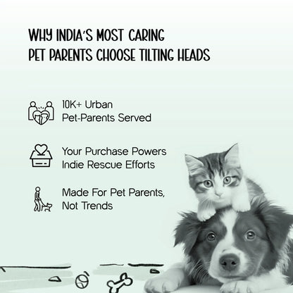 TrekPack Pet Carrier Bag – All-Season Comfort & Secure Carry - Tilting Heads