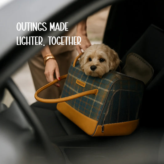 Pomelo Carrier Bag | Travel in Comfort | Secure & Stylish Pet Carrier