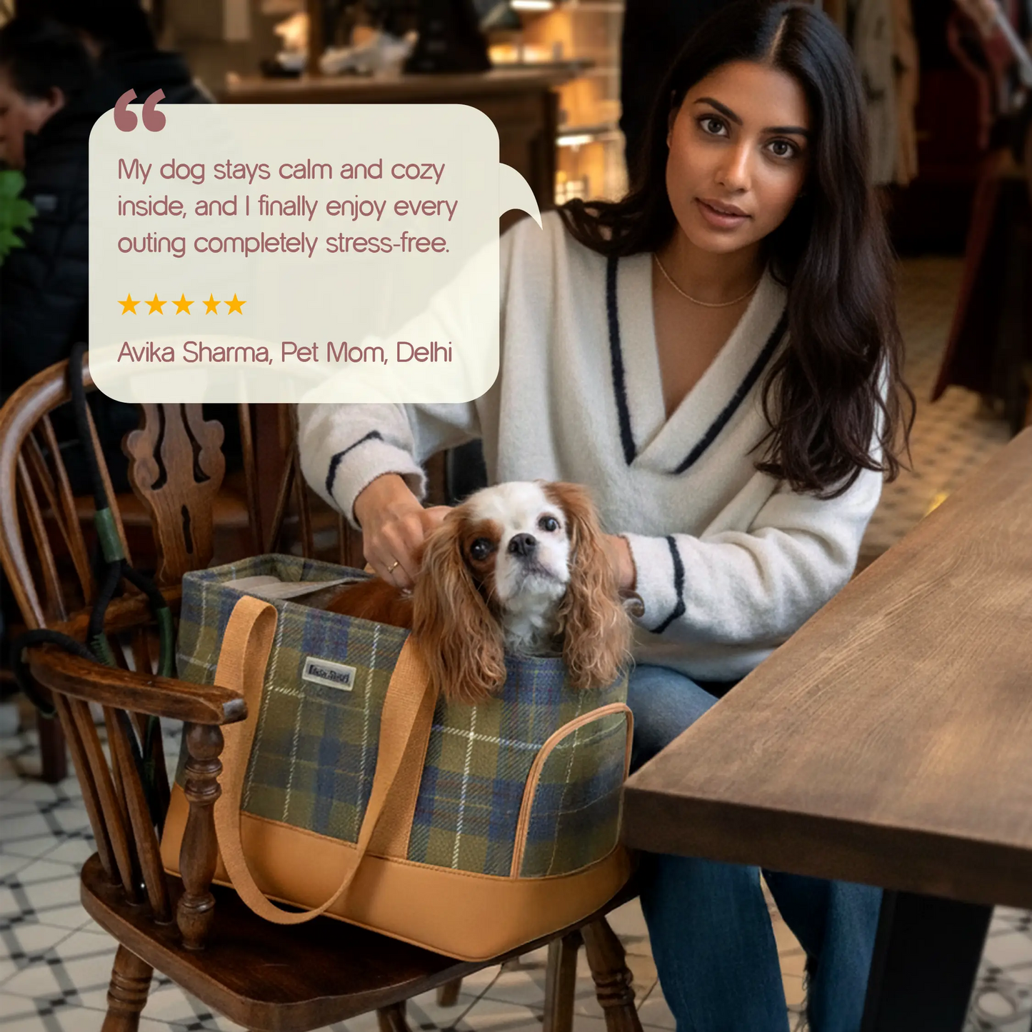 Pomelo Carrier Bag | Travel in Comfort | Secure & Stylish Pet Carrier