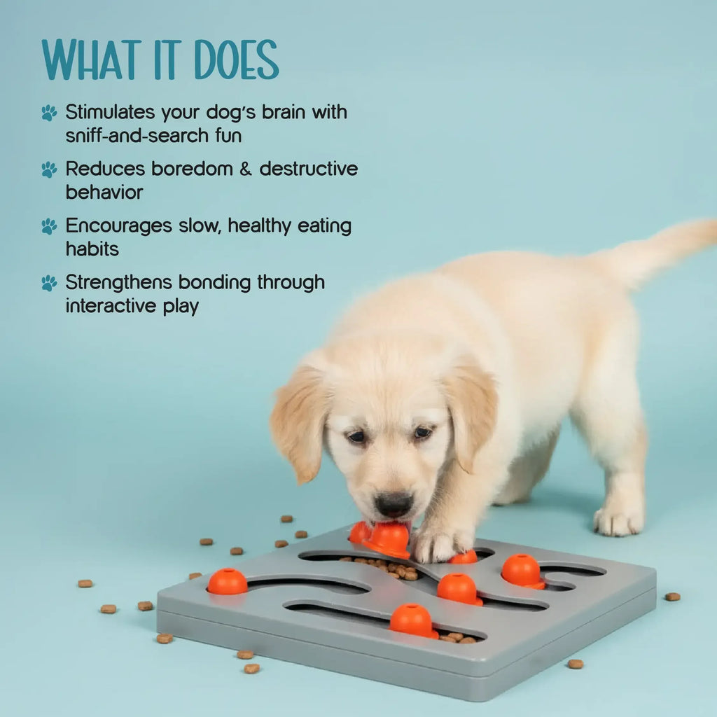 PupIQ Playboard | Smart Puzzle Toy | Boredom-Free Play - Tilting Heads