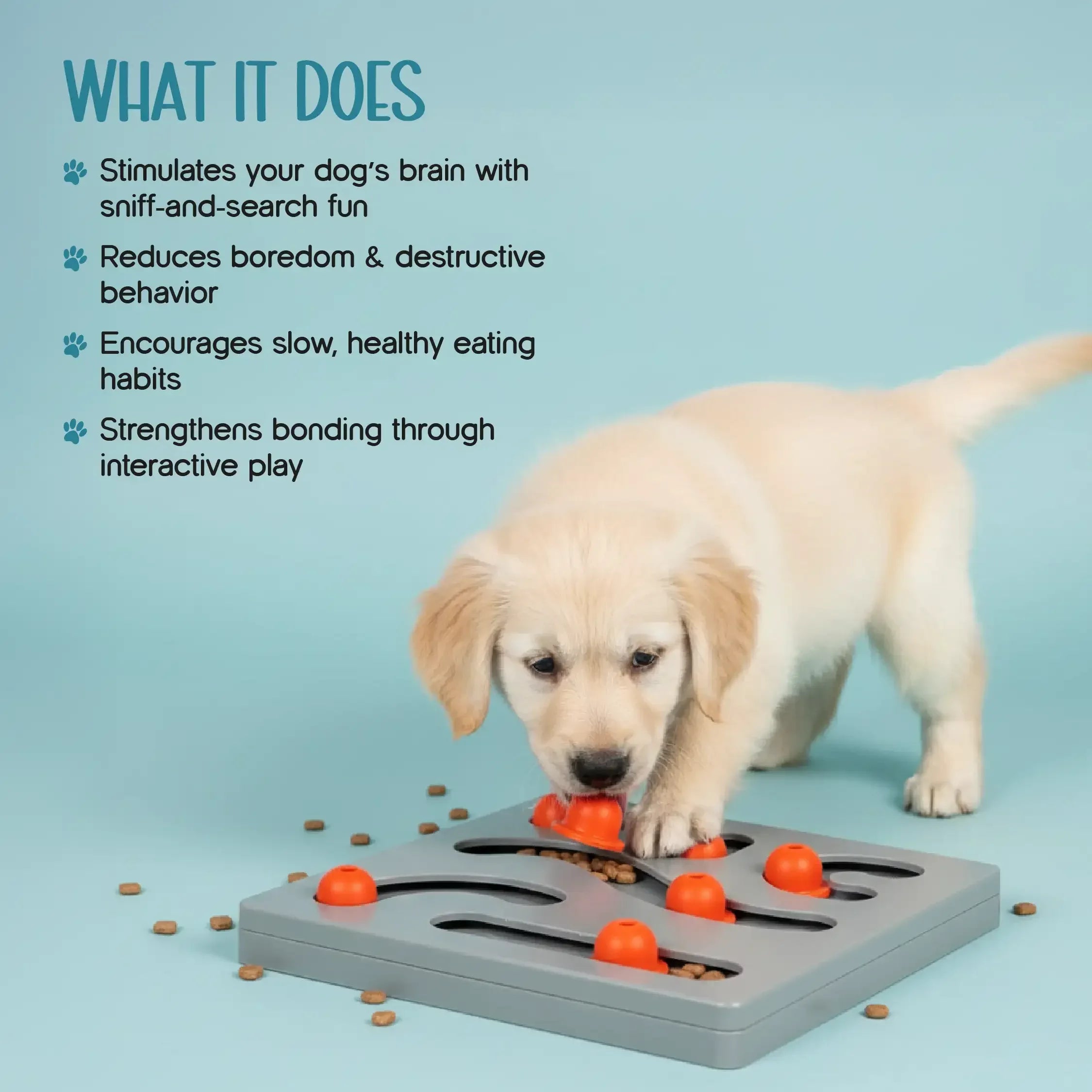 PupIQ Playboard | Smart Puzzle Toy | Boredom-Free Play - Tilting Heads