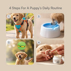 Puppy Starter Pack | Walk, Sip, Fetch & Protect