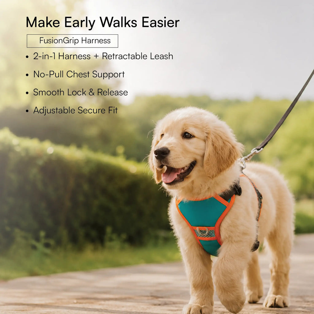 Puppy Starter Pack | Walk, Sip, Fetch & Protect