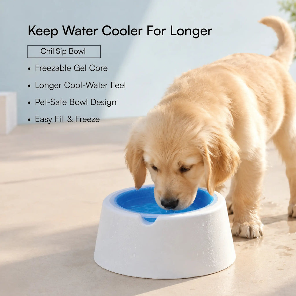 Puppy Starter Pack | Walk, Sip, Fetch & Protect