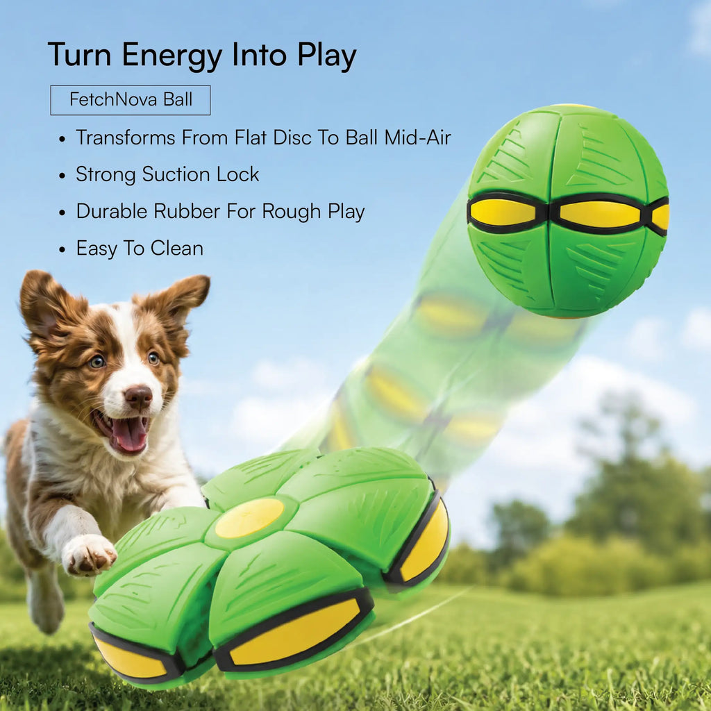 Puppy Starter Pack | Walk, Sip, Fetch & Protect
