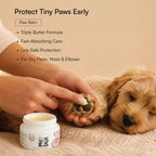 Puppy Starter Pack | Walk, Sip, Fetch & Protect