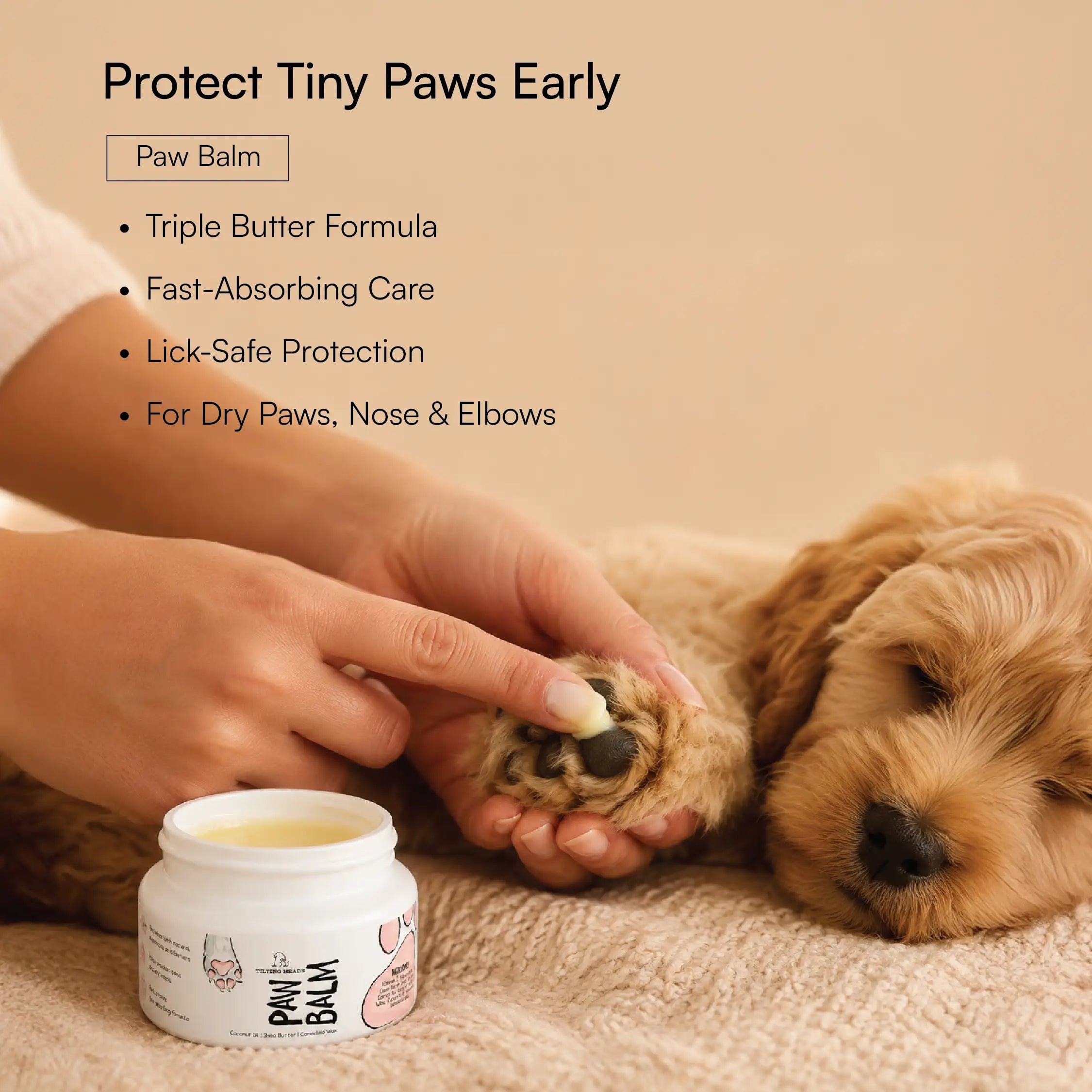 Puppy Starter Pack | Walk, Sip, Fetch & Protect