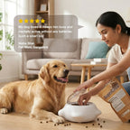 PushPop Treat Tumbler – Interactive Treat Dispensing Toy for Dogs