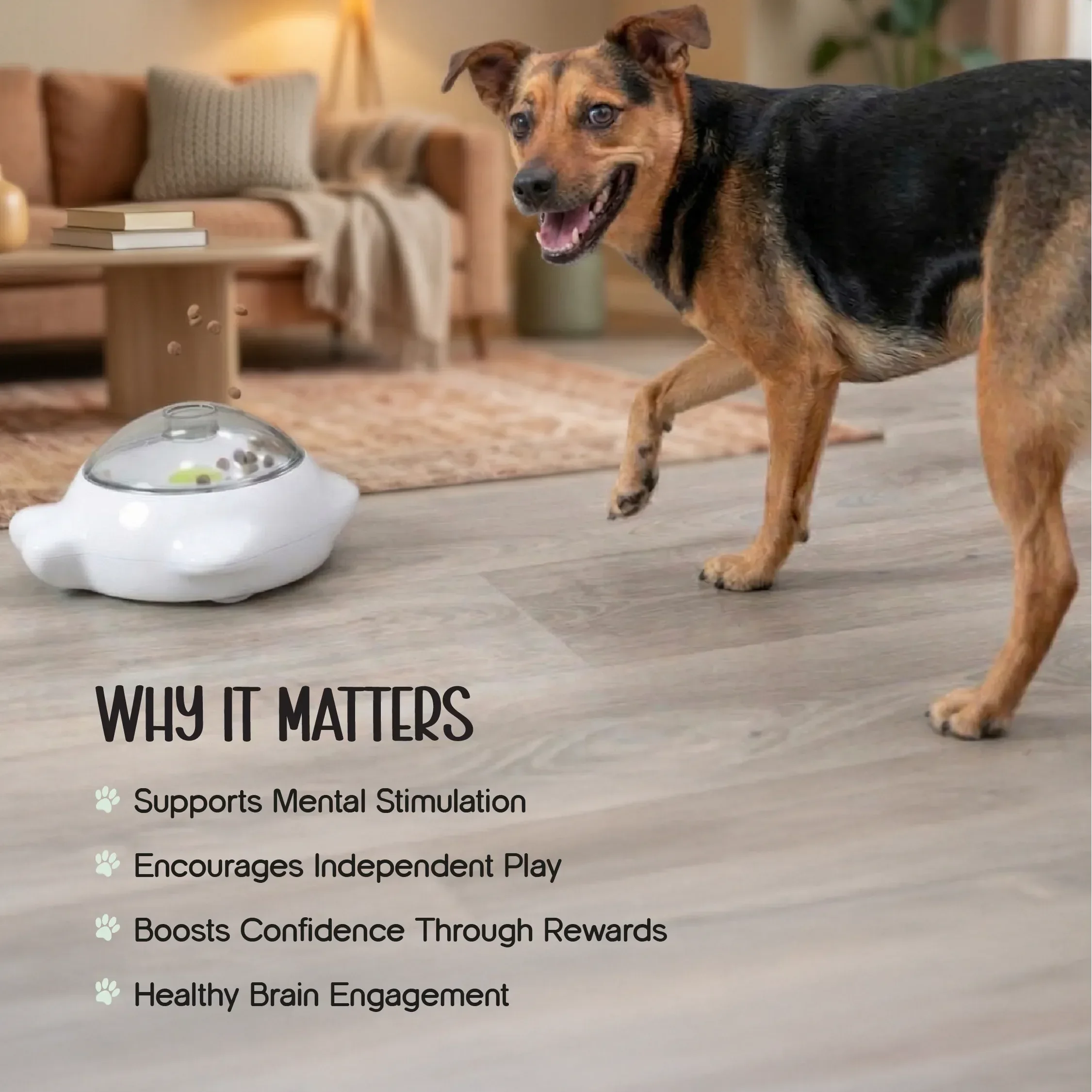 PushPop Treat Tumbler – Interactive Treat Dispensing Toy for Dogs