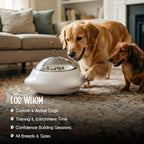 PushPop Treat Tumbler – Interactive Treat Dispensing Toy for Dogs
