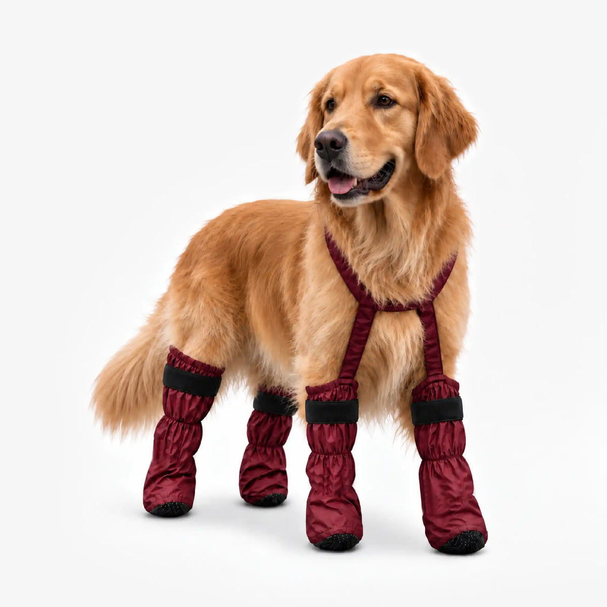 #Maroon