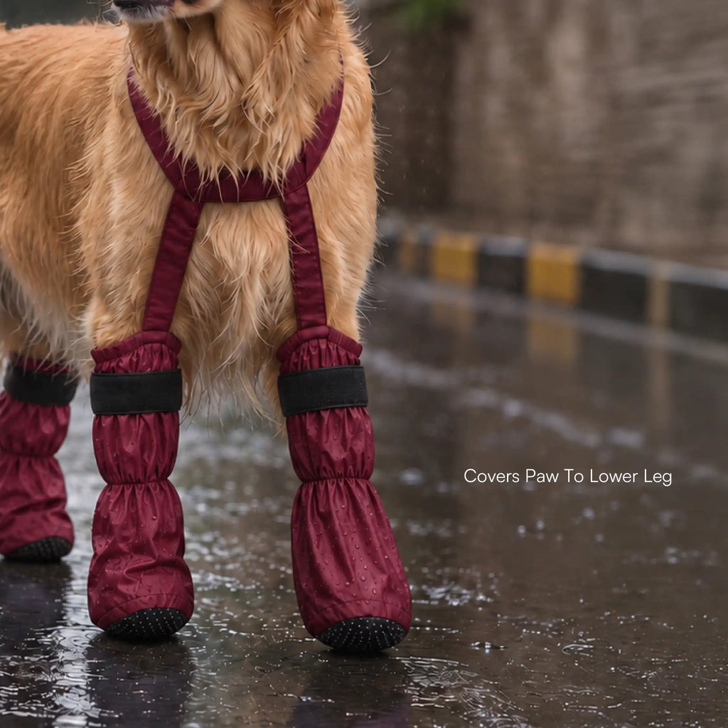 #Maroon