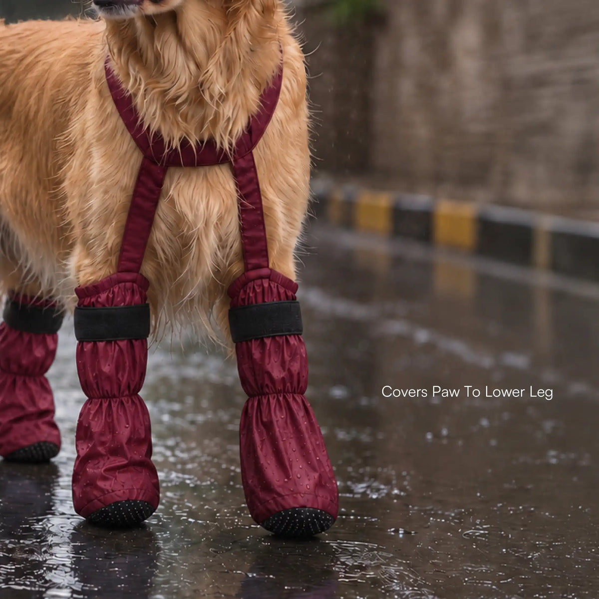 #Maroon