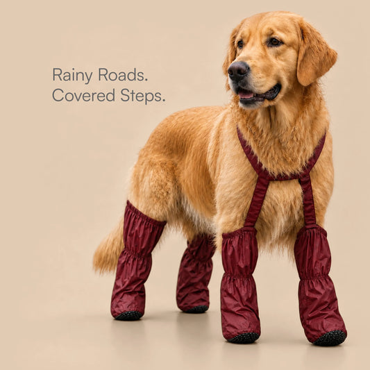 Pawveralls Suspender Boots For Dogs | Secure, Flexible & Weather-Ready | For Daily Walks & Outdoor Adventures| All-Terrain