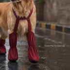 Pawveralls Suspender Boots For Dogs | Secure, Flexible & Weather-Ready | For Daily Walks & Outdoor Adventures| All-Terrain