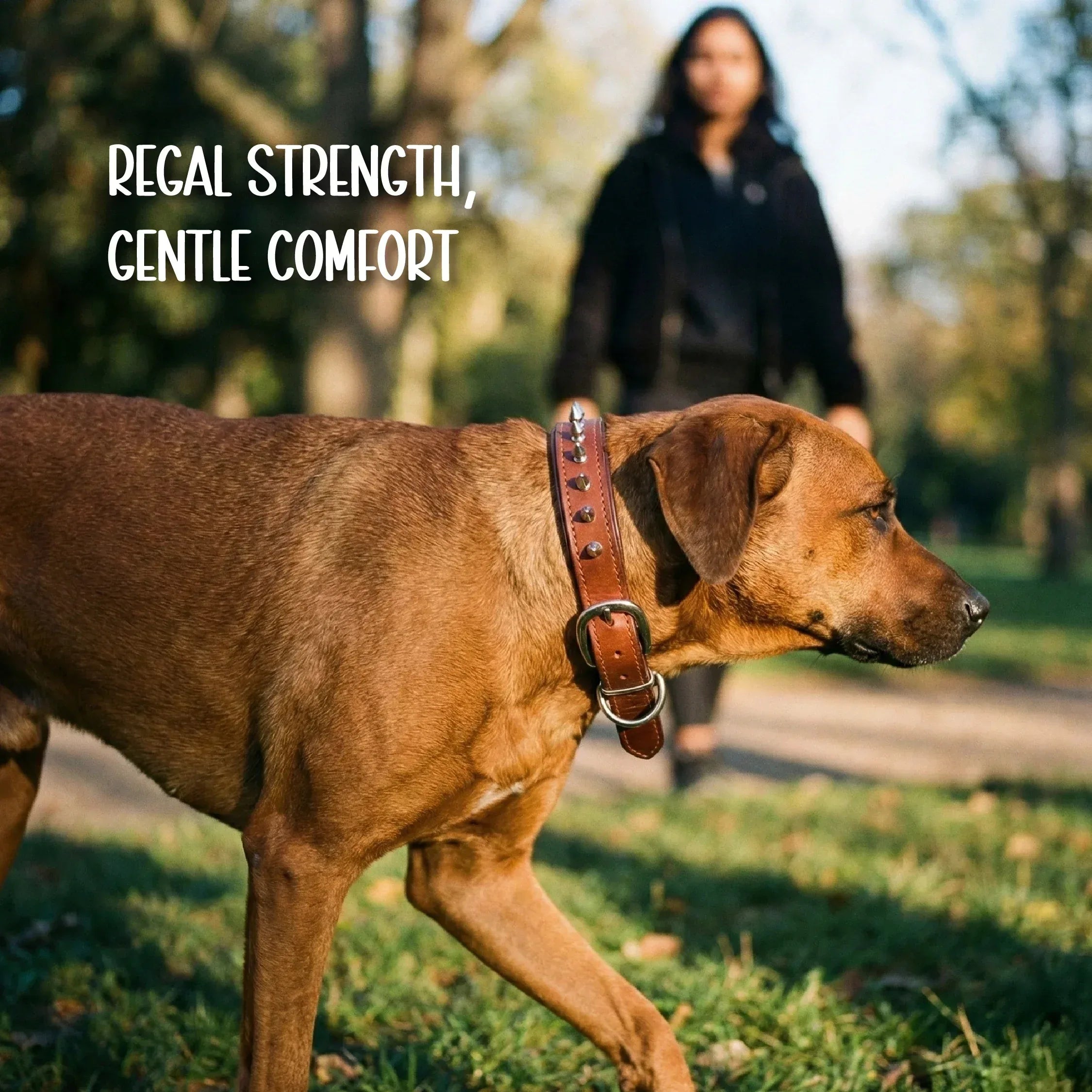 Rebel Spike Collar | Genuine Leather Outside, Cushioned Rexine Inside | Made to Endure Daily Walks - Tilting Heads