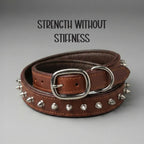 Rebel Spike Collar | Genuine Leather Outside, Cushioned Rexine Inside | Made to Endure Daily Walks - Tilting Heads