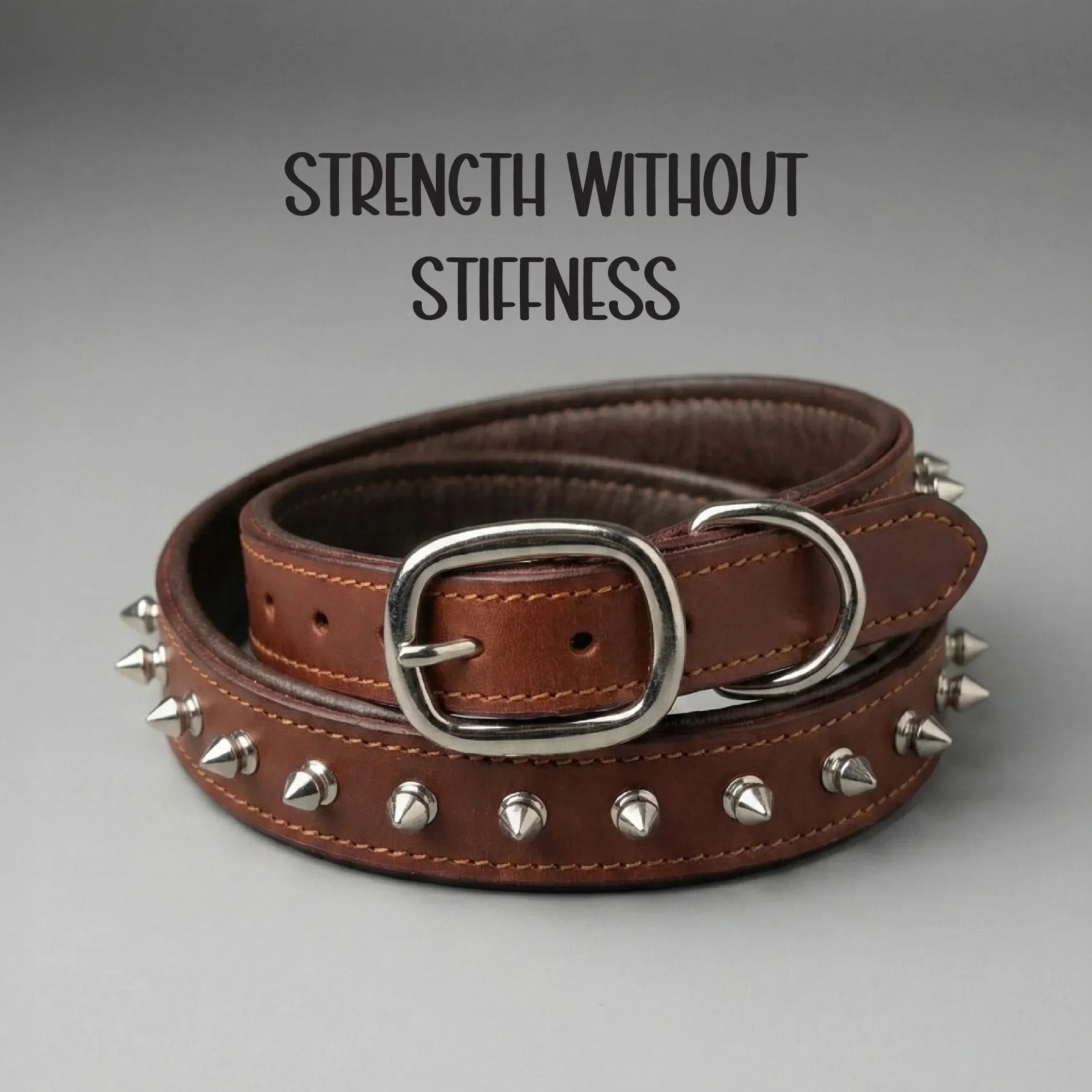Rebel Spike Collar | Genuine Leather Outside, Cushioned Rexine Inside | Made to Endure Daily Walks - Tilting Heads