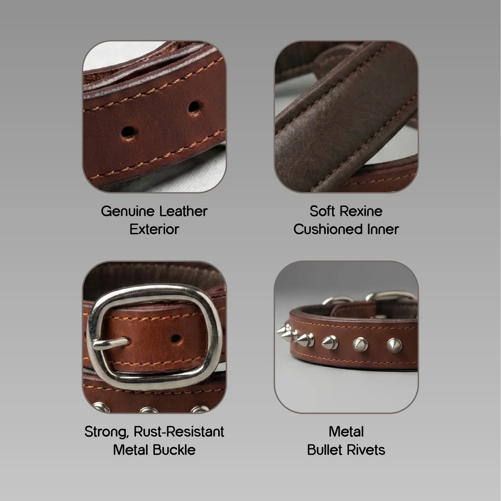 Rebel Spike Collar | Genuine Leather Outside, Cushioned Rexine Inside | Made to Endure Daily Walks - Tilting Heads
