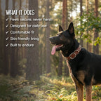 Rebel Spike Collar | Genuine Leather Outside, Cushioned Rexine Inside | Made to Endure Daily Walks - Tilting Heads