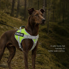 RegalStride Harness | No-Pull Reflective Dog Harness With Handle