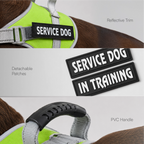 RegalStride Harness | No-Pull Reflective Dog Harness With Handle