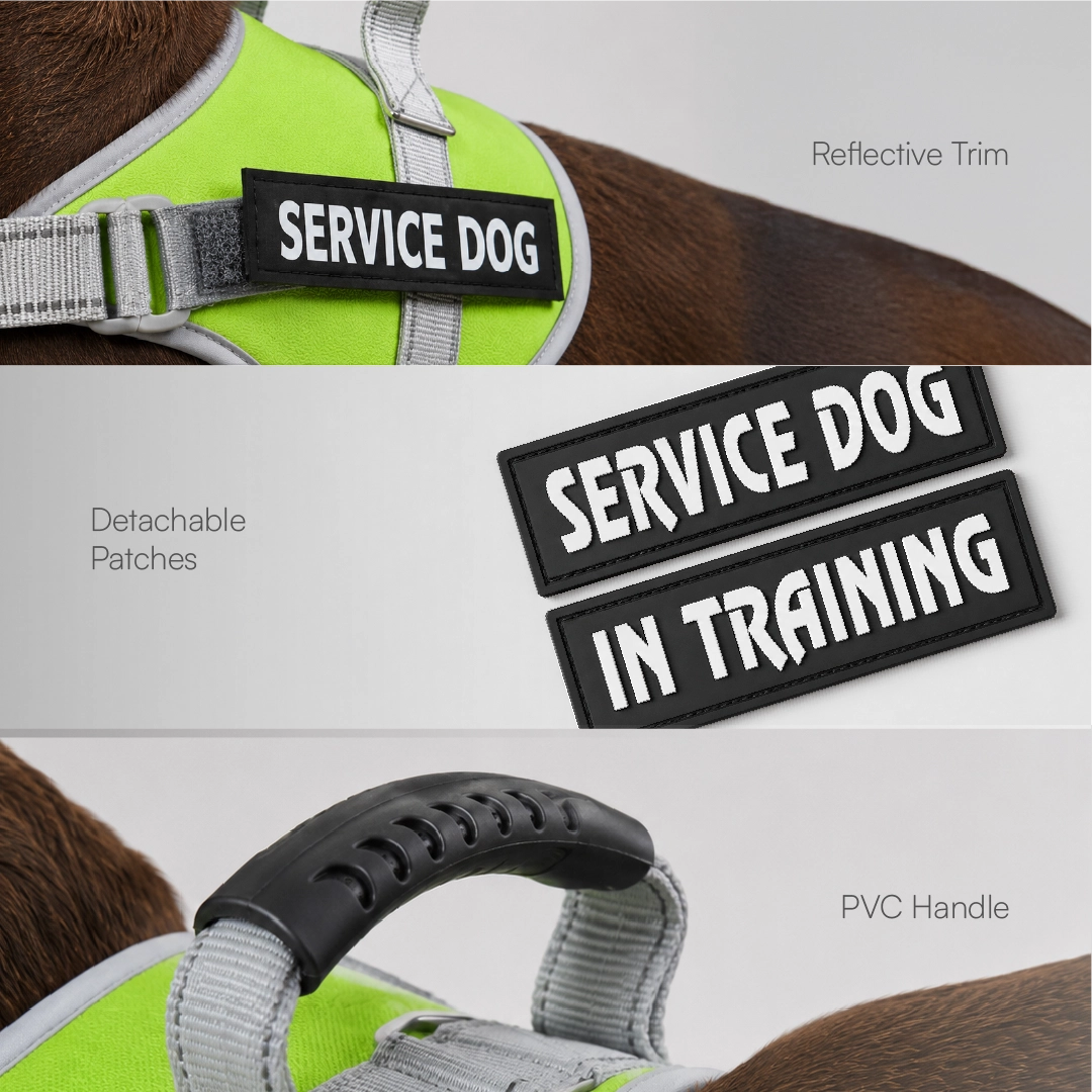 RegalStride Harness | No-Pull Reflective Dog Harness With Handle