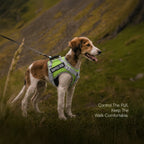 RegalStride Harness | No-Pull Reflective Dog Harness With Handle