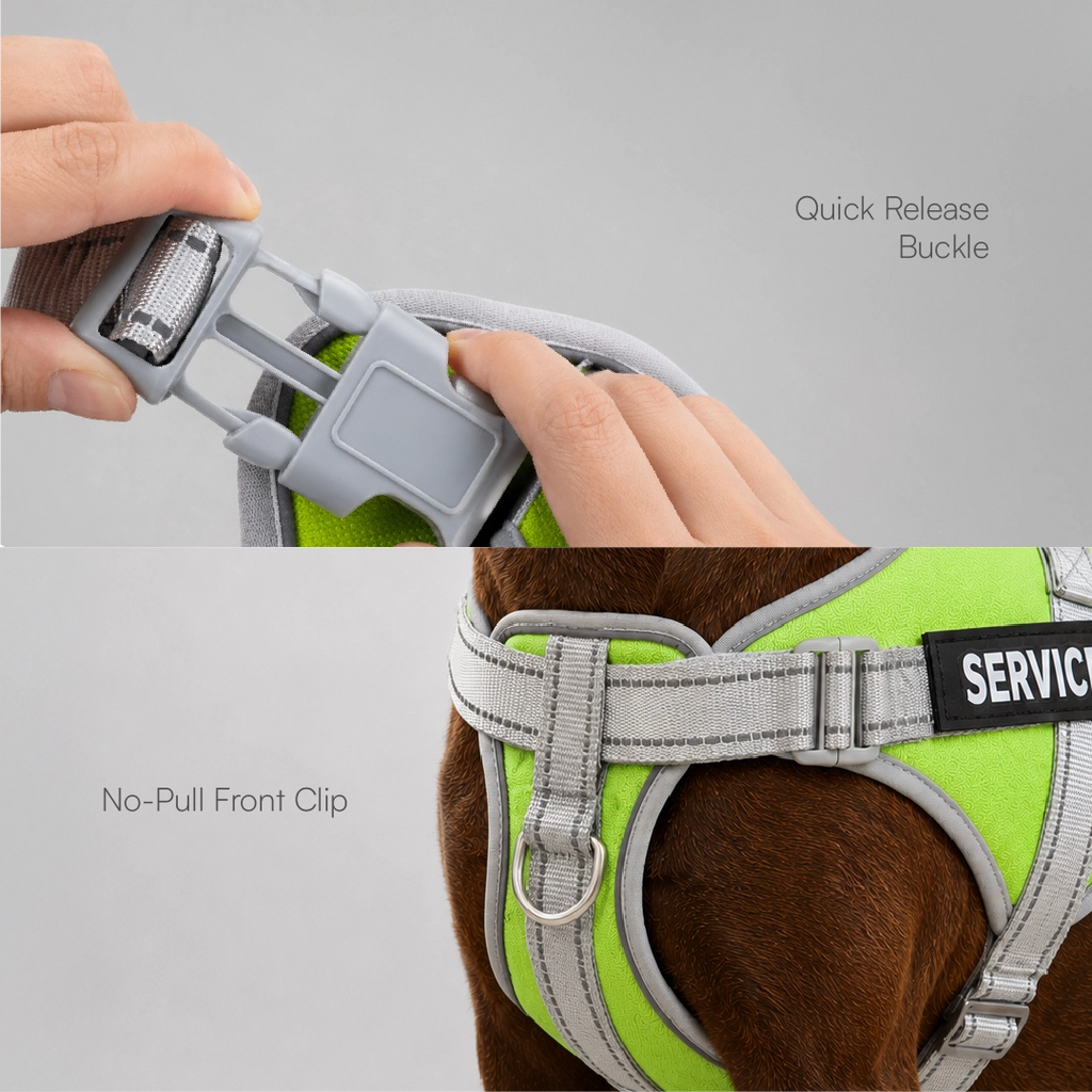 RegalStride Harness | No-Pull Reflective Dog Harness With Handle