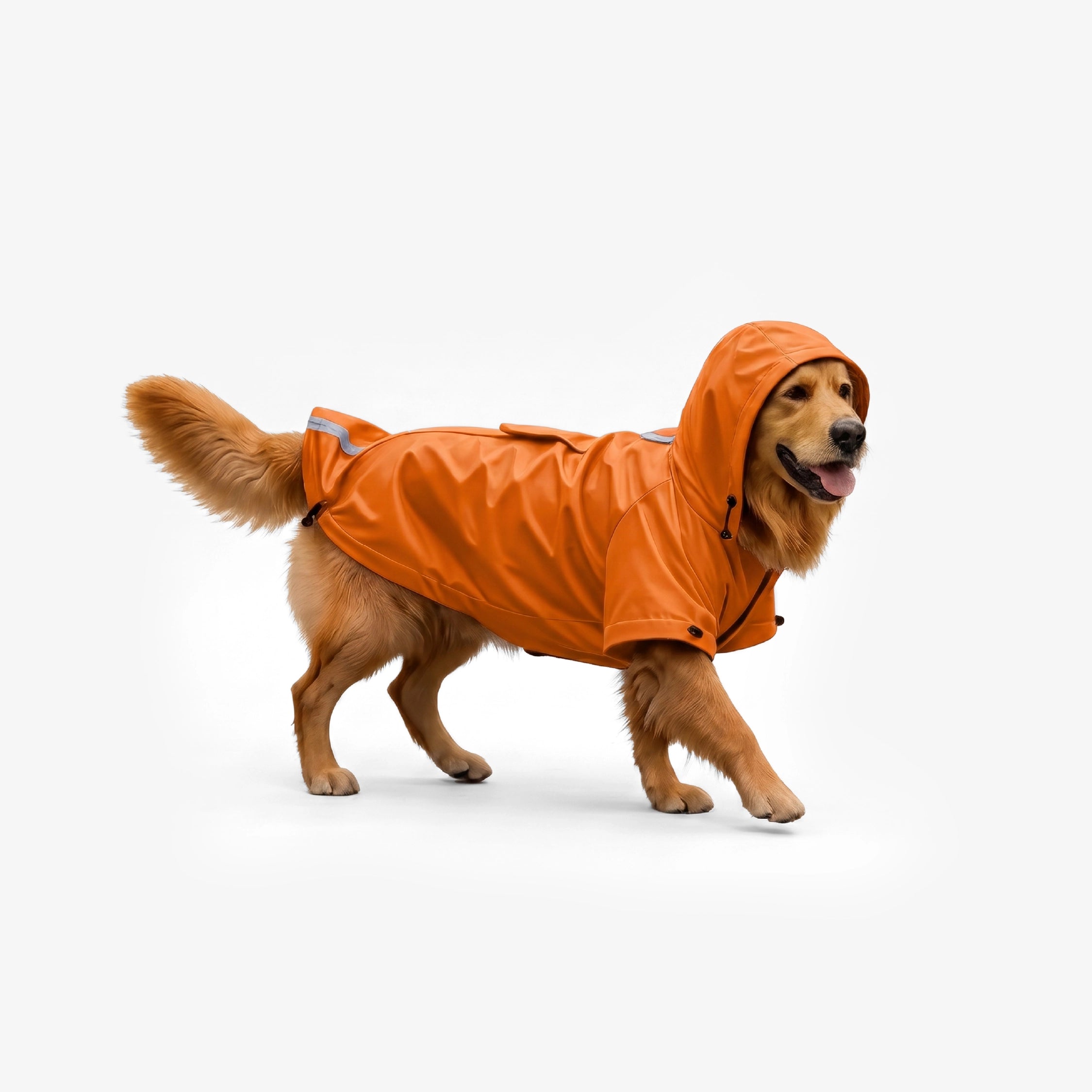 #tangerine