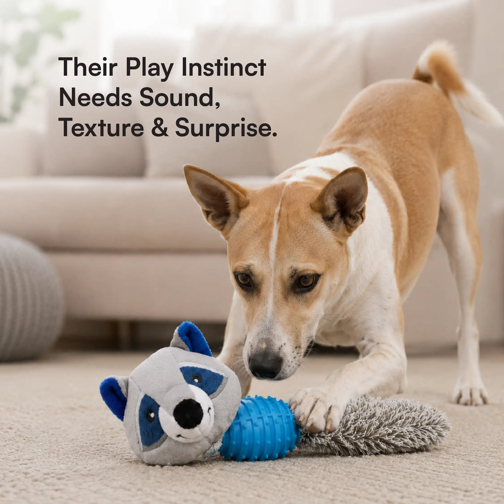 RustleRaccoon Toy | Crinkle & Squeaky Plush Dog Toy