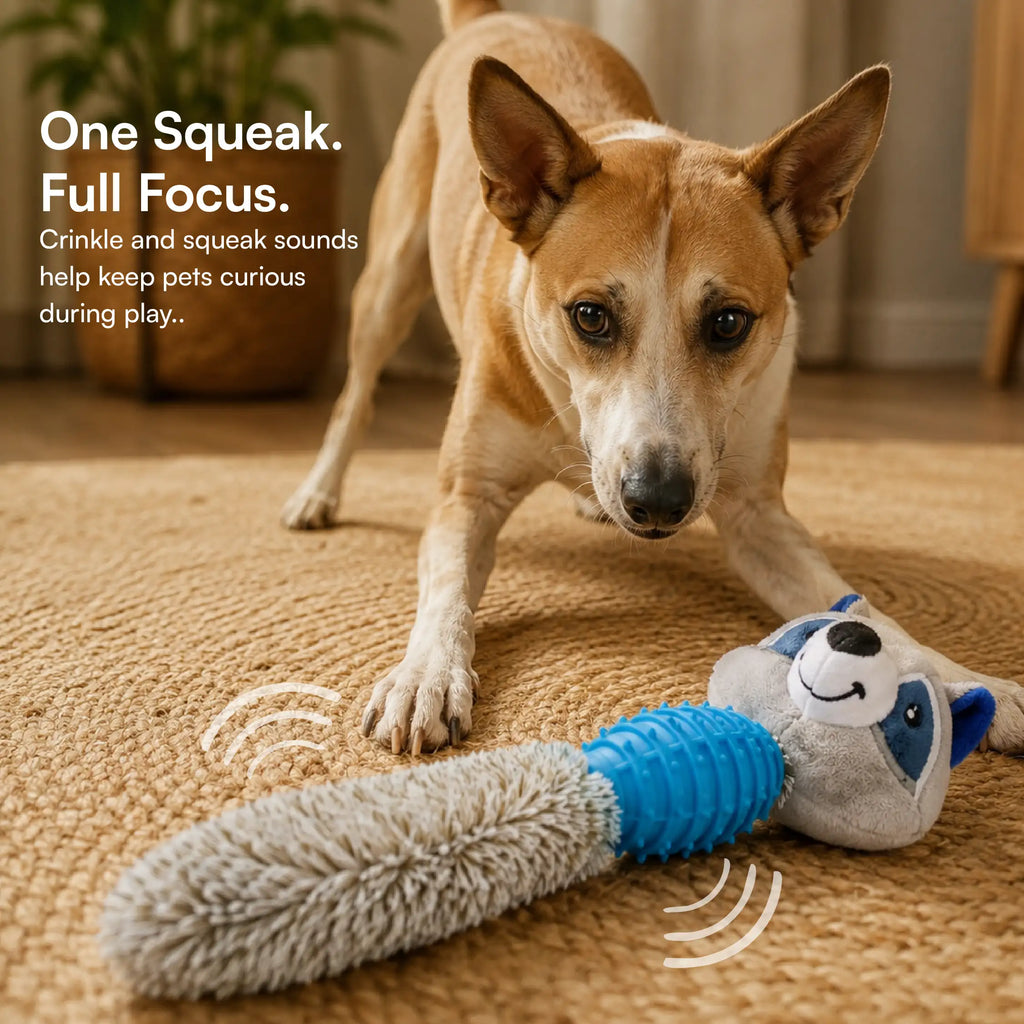 RustleRaccoon Toy | Crinkle & Squeaky Plush Dog Toy