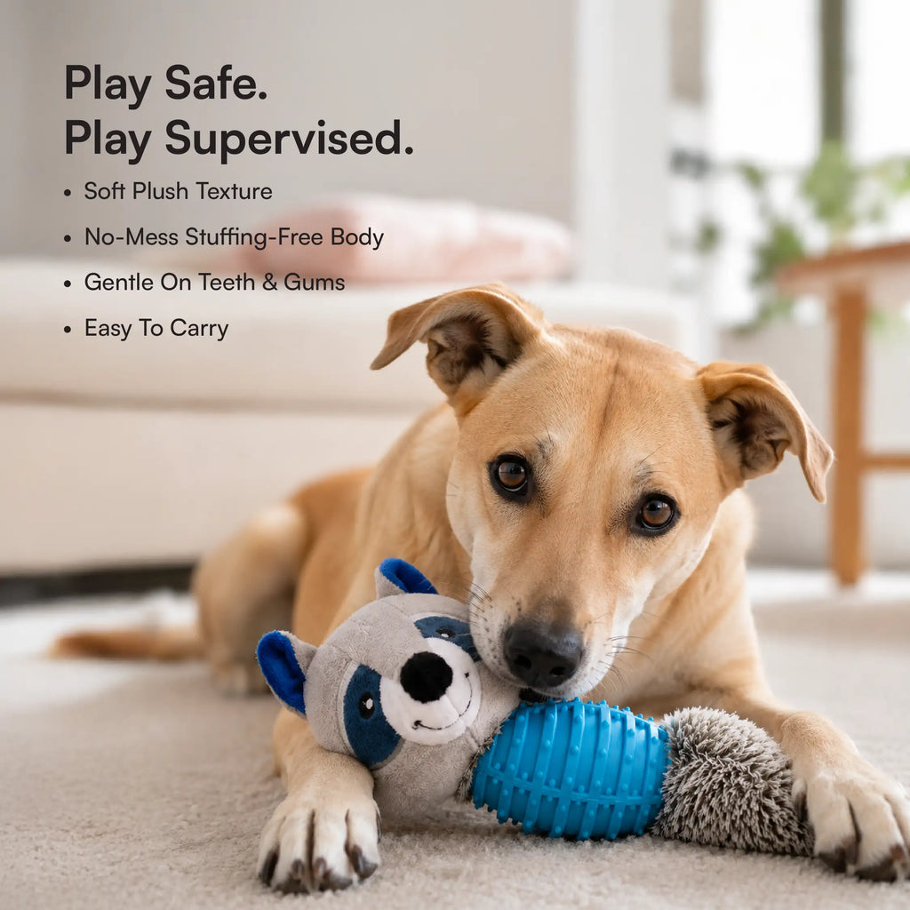 RustleRaccoon Toy | Crinkle & Squeaky Plush Dog Toy