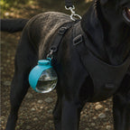 SipNova Bottle