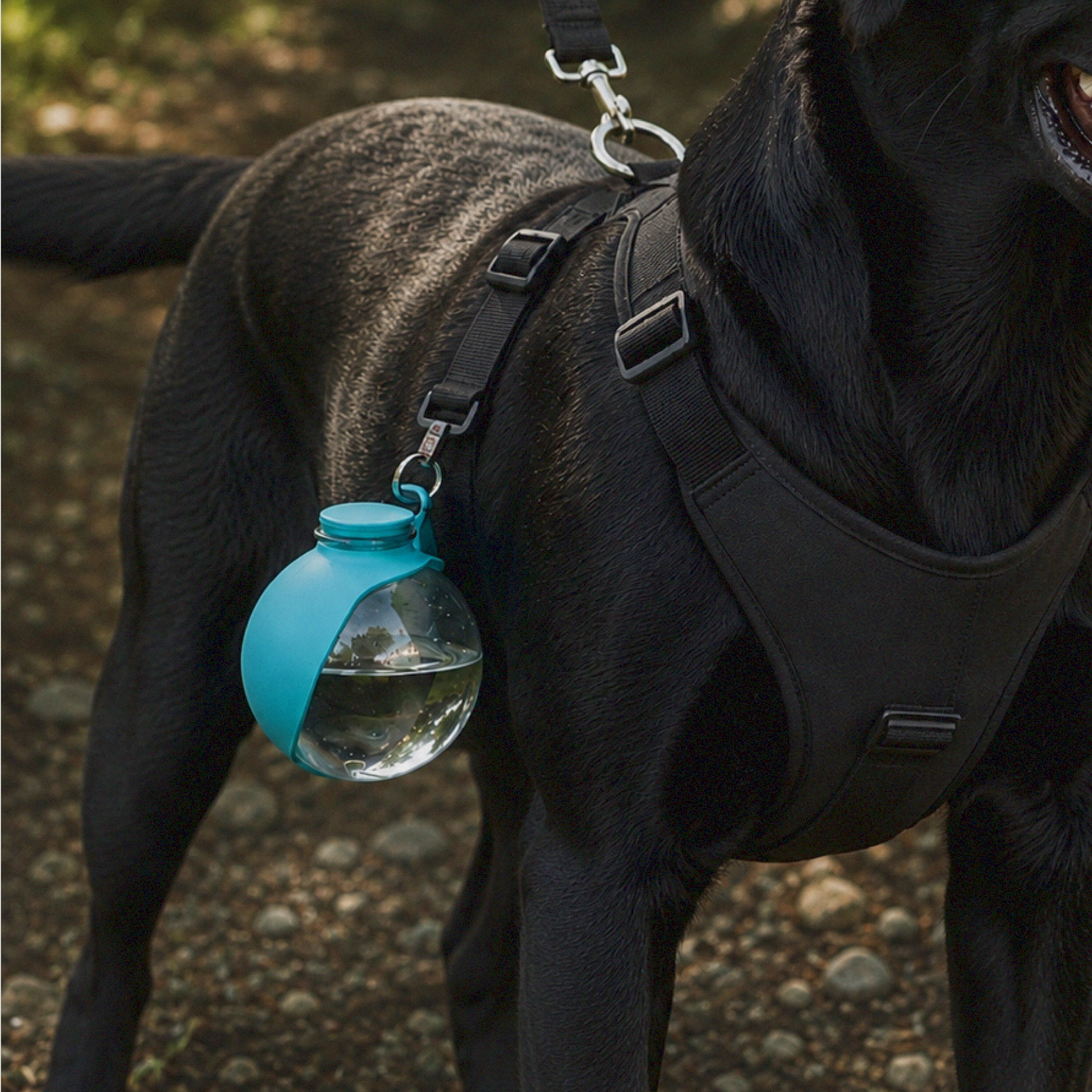 SipNova Bottle