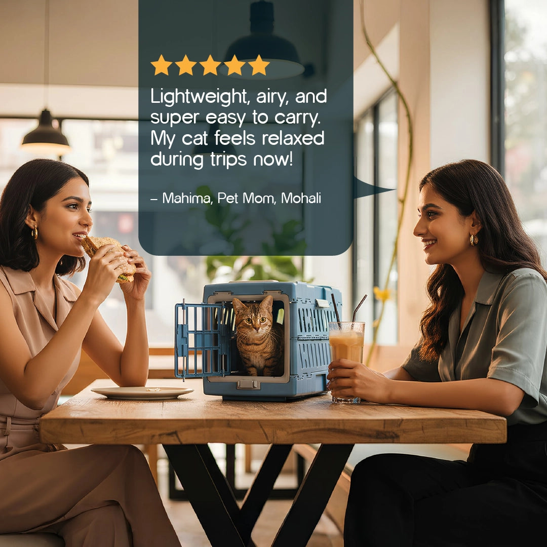 SnapCase | Foldable Pet Carrier – Safe, Airy & Travel-Ready Comfort