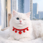 Scarlet Bell Collar – Handcrafted Woven Collar for Pets