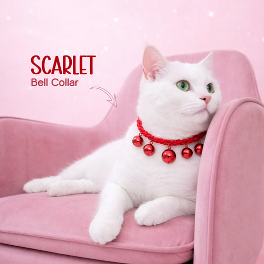 Scarlet Bell Collar – Handcrafted Woven Collar for Pets