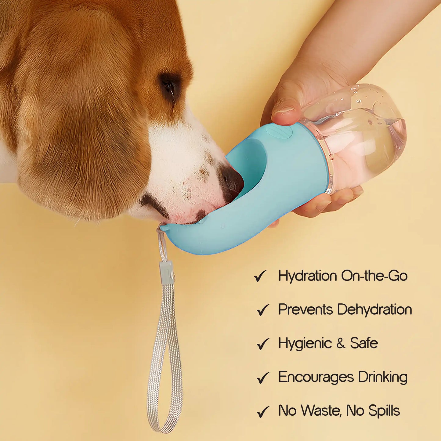 SipMate Water Bottle