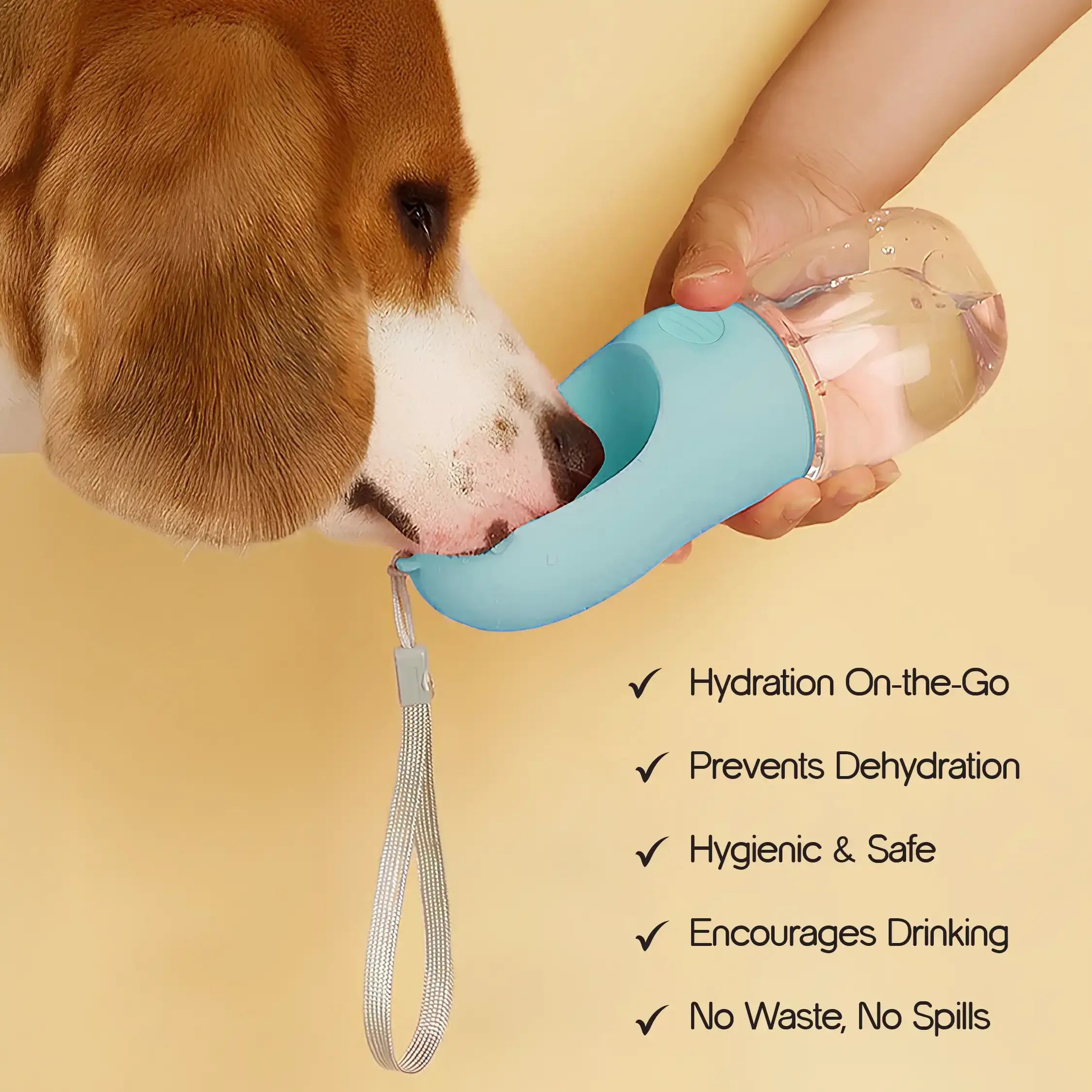 SipMate Water Bottle – Leak Proof Portable Travel Bottle with Built-In Bowl - Tilting Heads