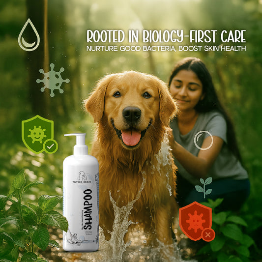 Skin Microbiome Shampoo | Dog Shampoo for Balanced Skin