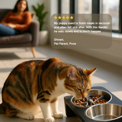 SlowSwirl Feeder | Healthy Eating | Slows Mealtime | Easy to Use